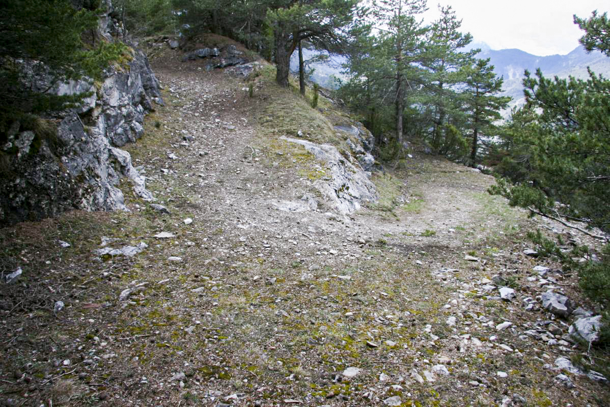 Ligne Maginot - COTE 1408 - (Blockhaus pour arme infanterie) - Chemin d'accès de la position par le Nord - Alain Perouffe