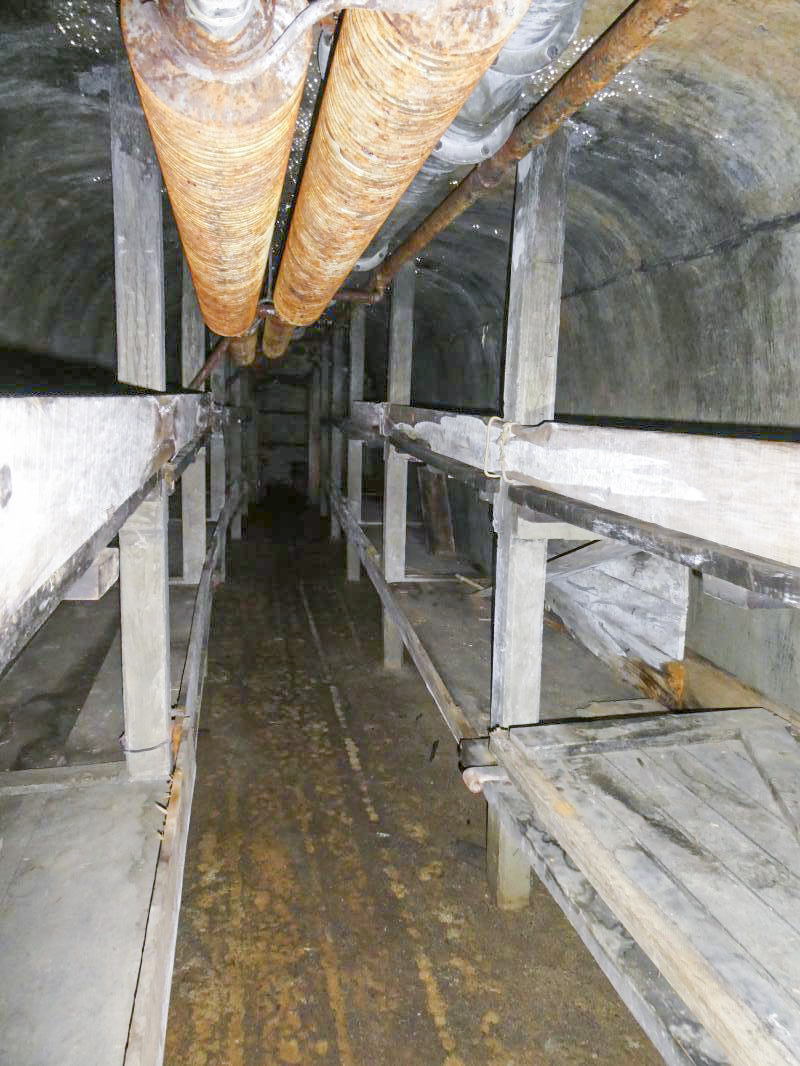 Ligne Maginot - FREJUS - (Ouvrage d'infanterie) -  - ELLENA - CUNY