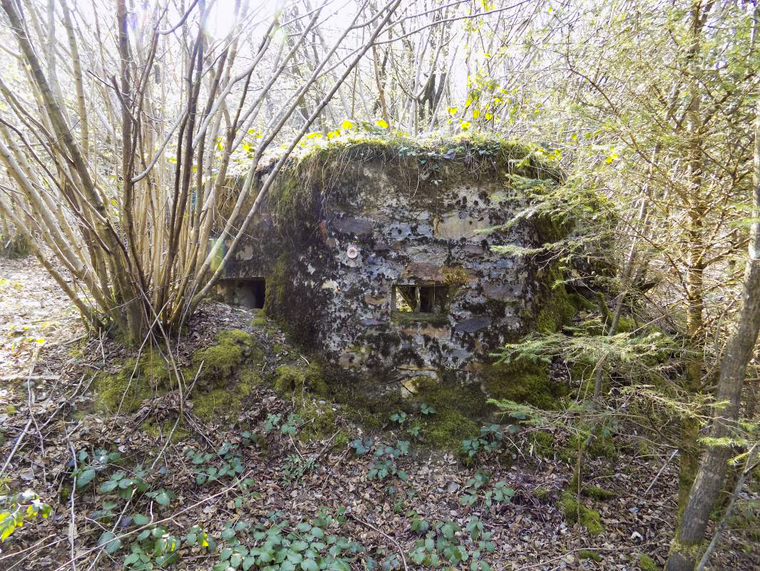 BA106 - ROUTE DE REVIN 3 - (Blockhaus pour arme infanterie)