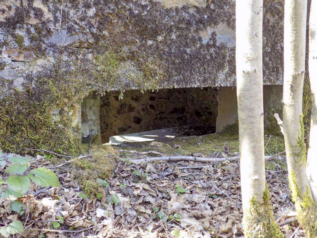 Ligne Maginot - BA106 - ROUTE DE REVIN 3 - (Blockhaus pour arme infanterie) - Face frontale droite, créneau Hotchkiss - R Tucker