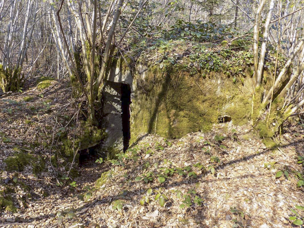 Ligne Maginot - BA106 - ROUTE DE REVIN 3 - (Blockhaus pour arme infanterie) - L'arrière et face l'arrière droite, créneau Obs/FM - R Tucker