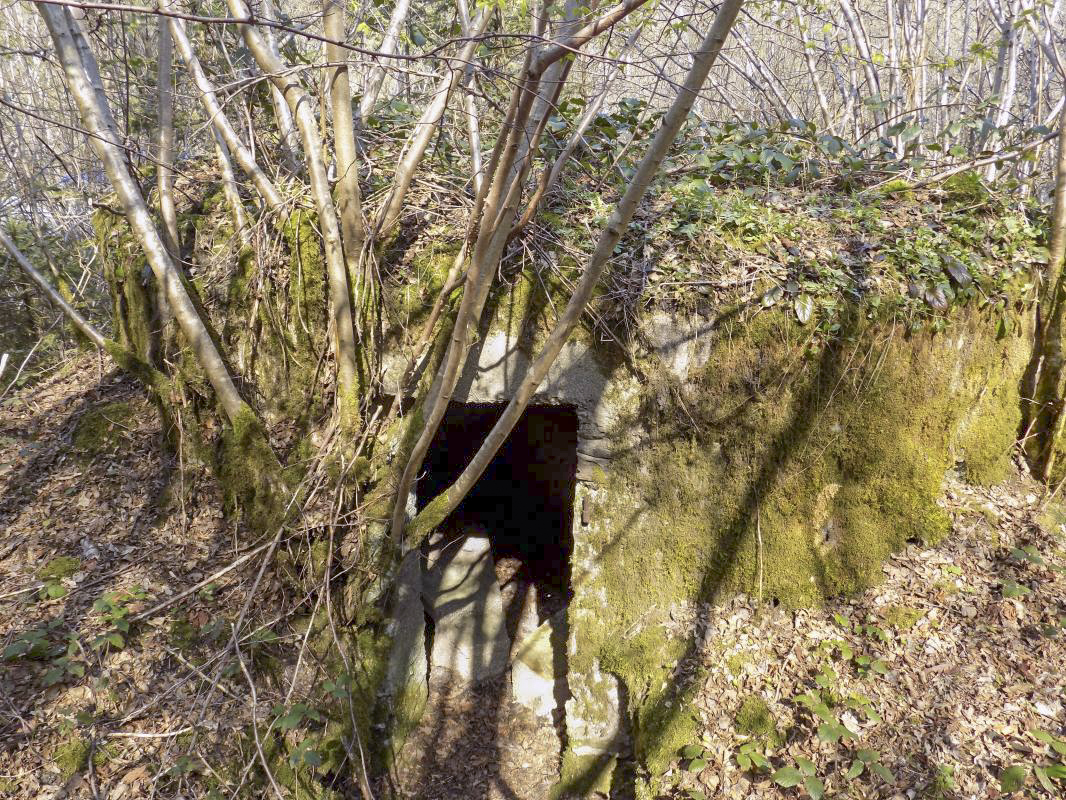 Ligne Maginot - BA106 - ROUTE DE REVIN 3 - (Blockhaus pour arme infanterie) - L'arrière - R Tucker