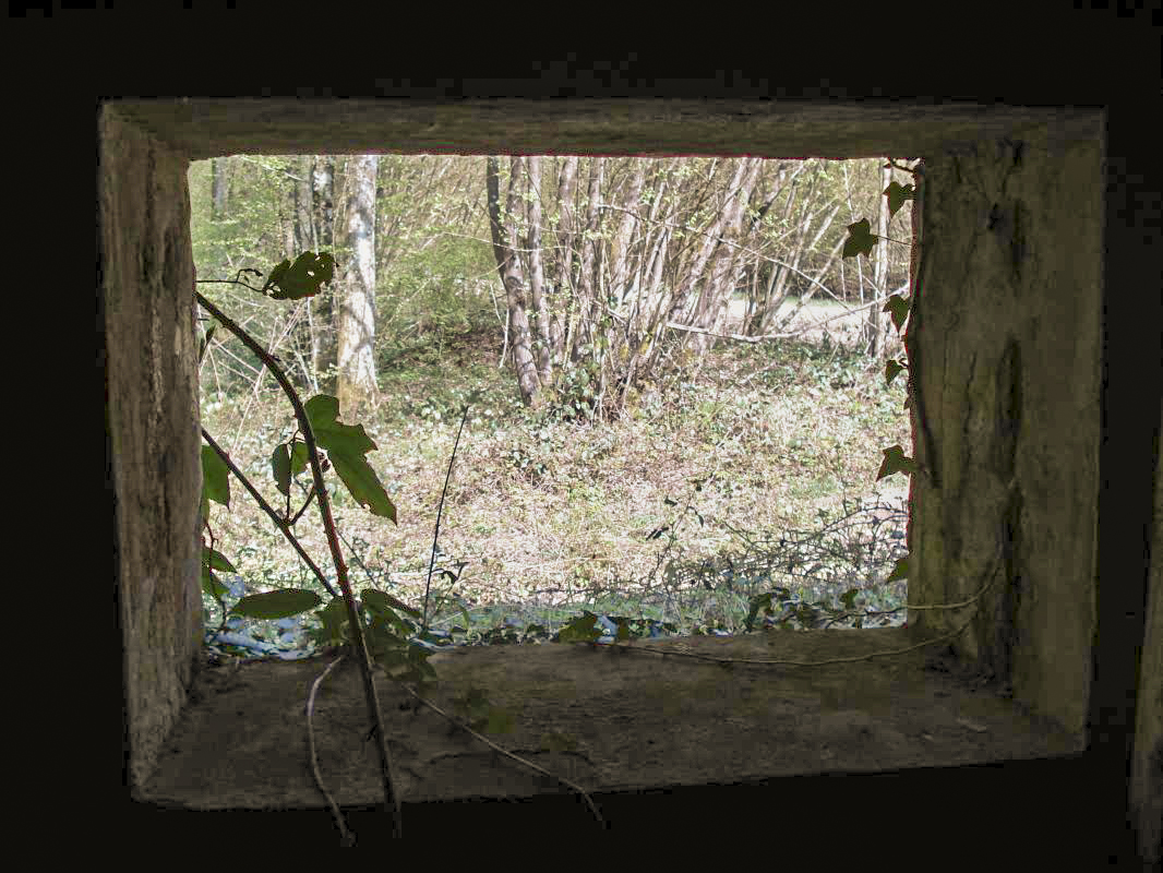 Ligne Maginot - MF16 - S - BEAU TERME - (Poste GRM - Maison Forte) - Vue du créneau AC - R Tucker