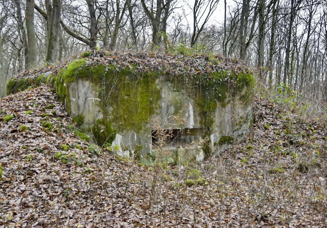 Ligne Maginot - CB9 - ROCKSWINGERT - (Blockhaus pour arme infanterie) - Créneau droit extèrieur - D.Froehly