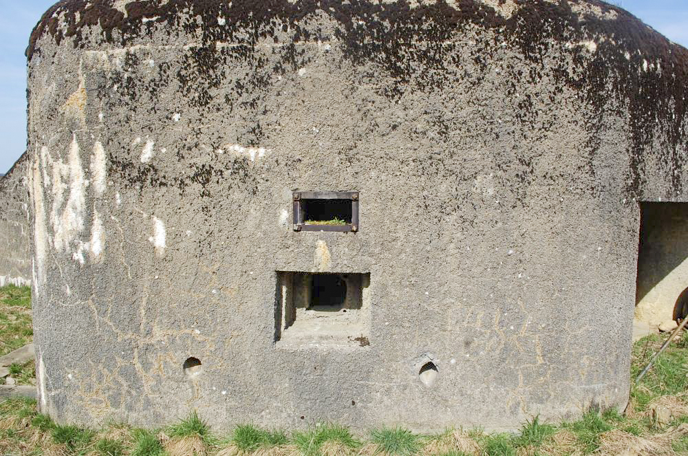 Ligne Maginot - MB121 - (Blockhaus pour canon) - Blockhaus en plein champ, forêt à proximité. La façade et les crenaux de tir - Christian RICHON/devoitine520