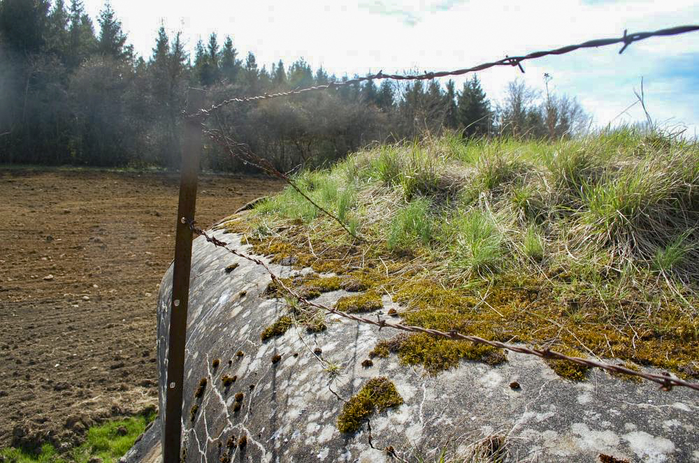Ligne Maginot - MB121 - (Blockhaus pour canon) - Blockhaus en plein champ, forêt à proximité. Les barbelés au sommet de l'ouvrage - Christian RICHON/devoitine520