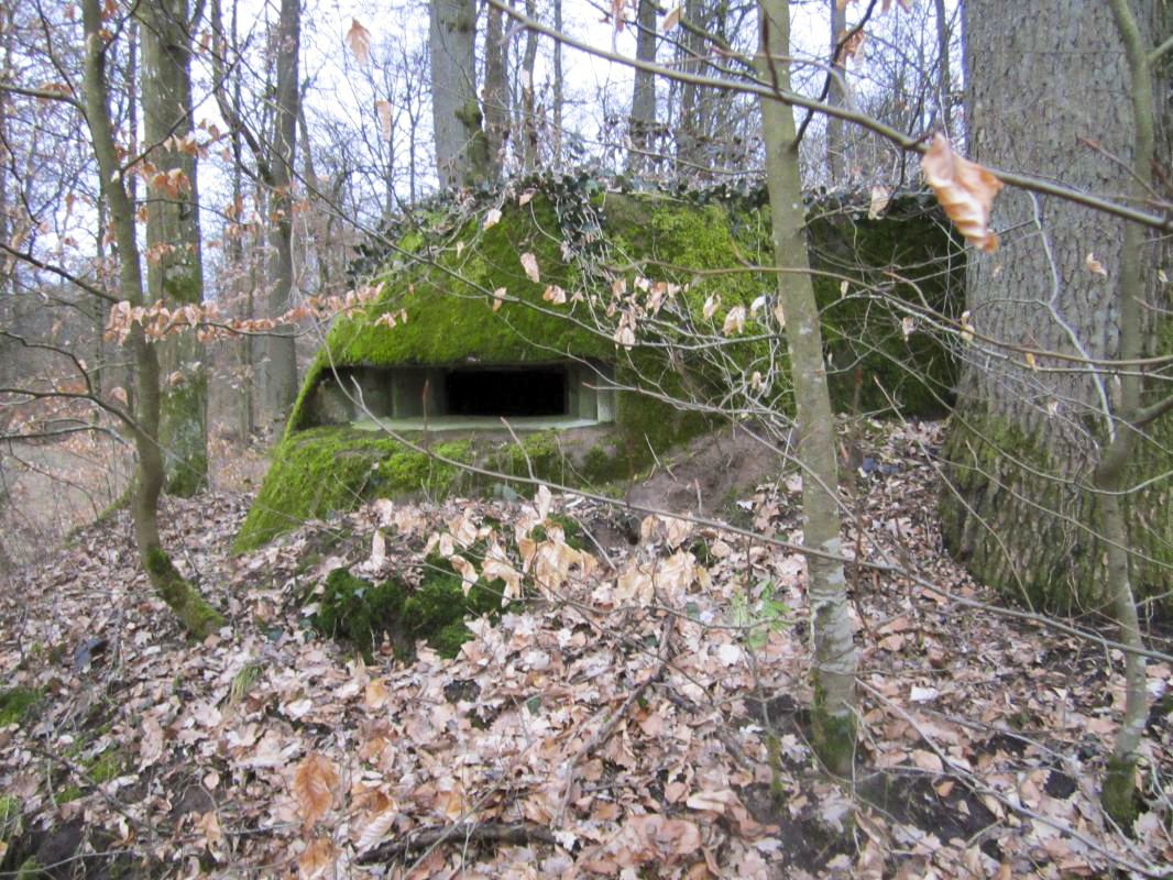 Ligne Maginot - SANDMUEHLE NORD - (Blockhaus pour arme infanterie) -  - gregfuchs