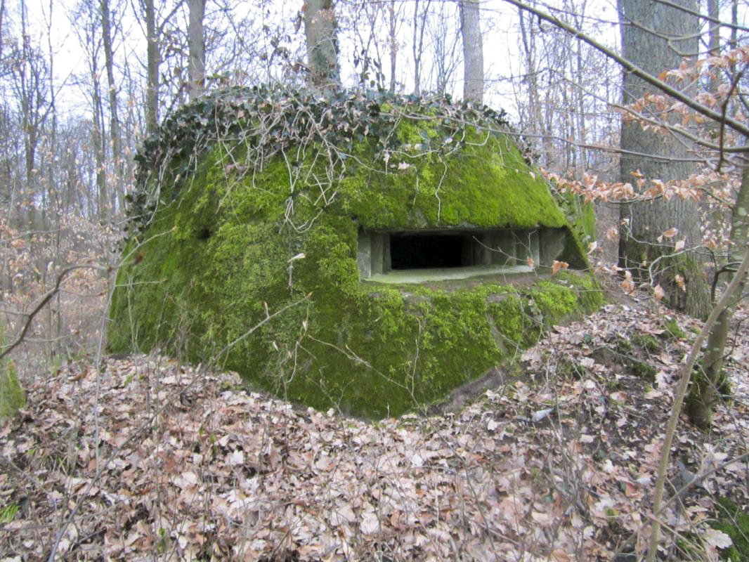 Ligne Maginot - SANDMUEHLE NORD - (Blockhaus pour arme infanterie) -  - gregfuchs