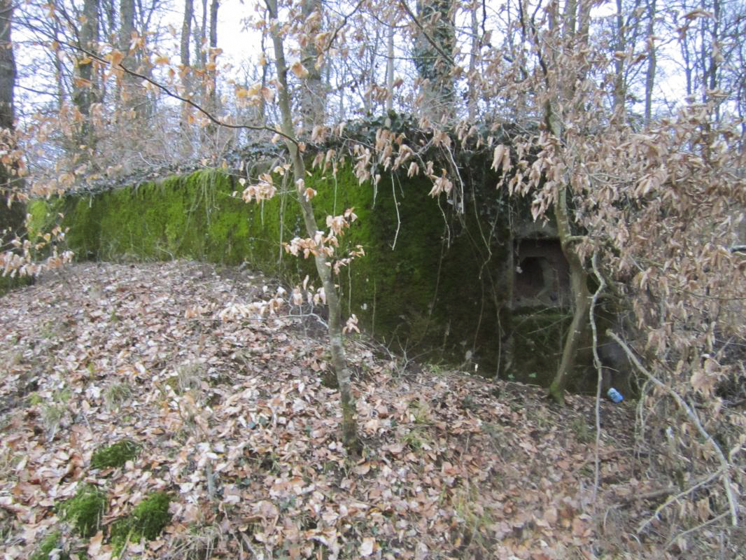 Ligne Maginot - SANDMUEHLE NORD - (Blockhaus pour arme infanterie) -  - gregfuchs