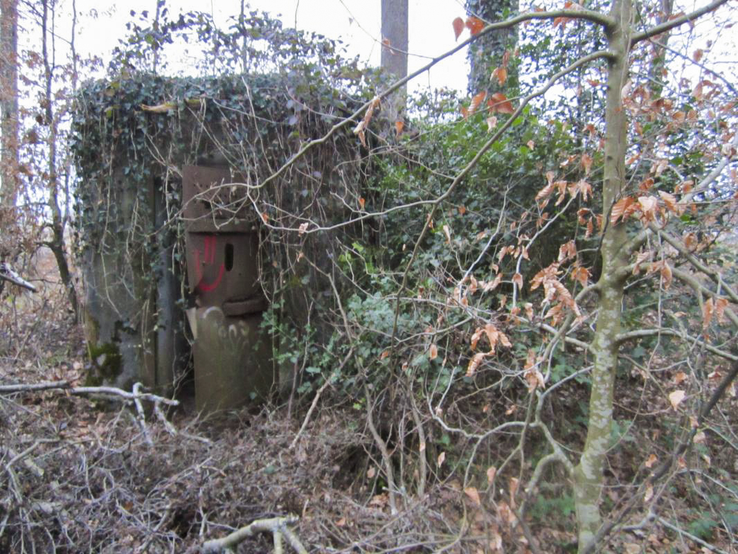 Ligne Maginot - SANDMUEHLE NORD - (Blockhaus pour arme infanterie) -  - gregfuchs