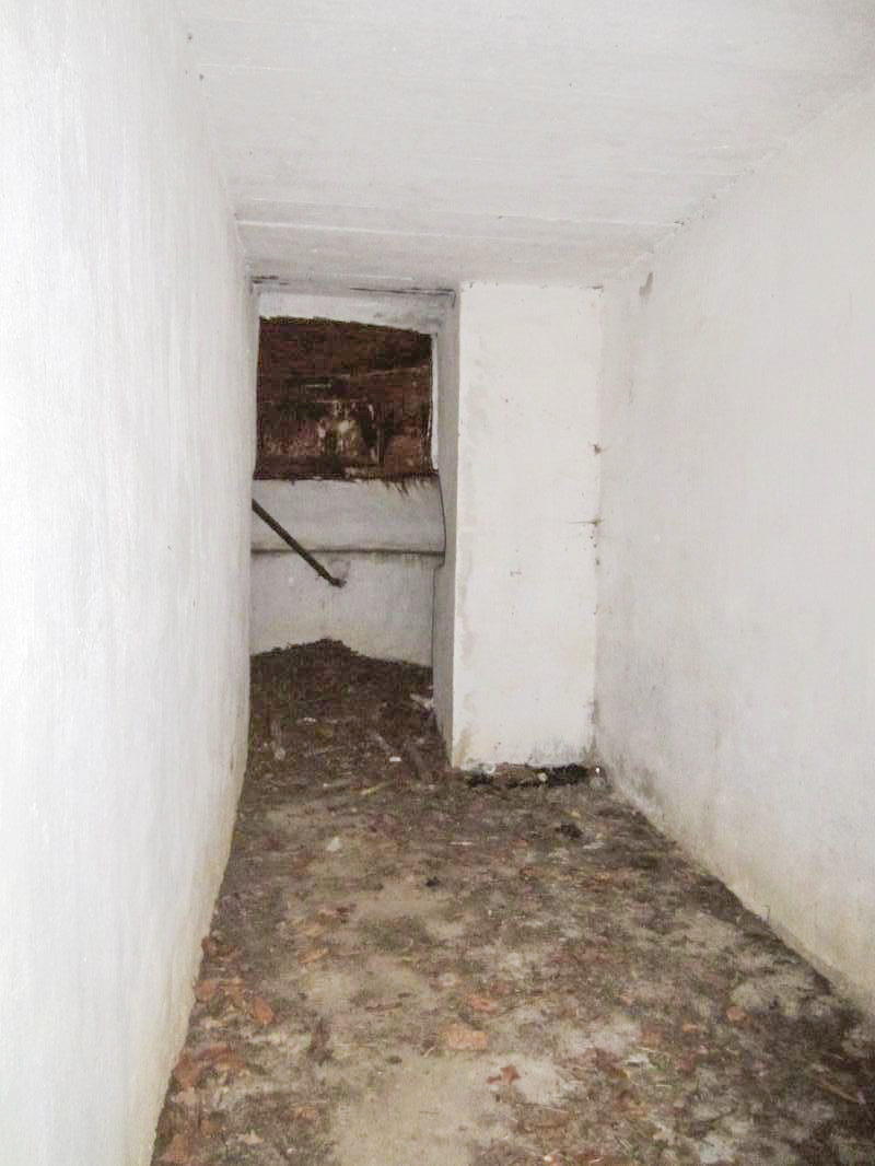 Ligne Maginot - SANDMUEHLE NORD - (Blockhaus pour arme infanterie) -  - gregfuchs