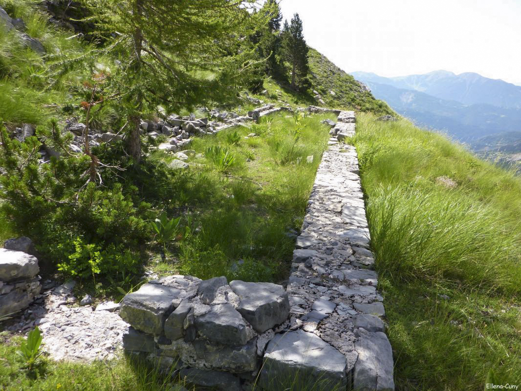 Ligne Maginot - Abris Alpin de Peira Grossa -  - Ellena-Cuny