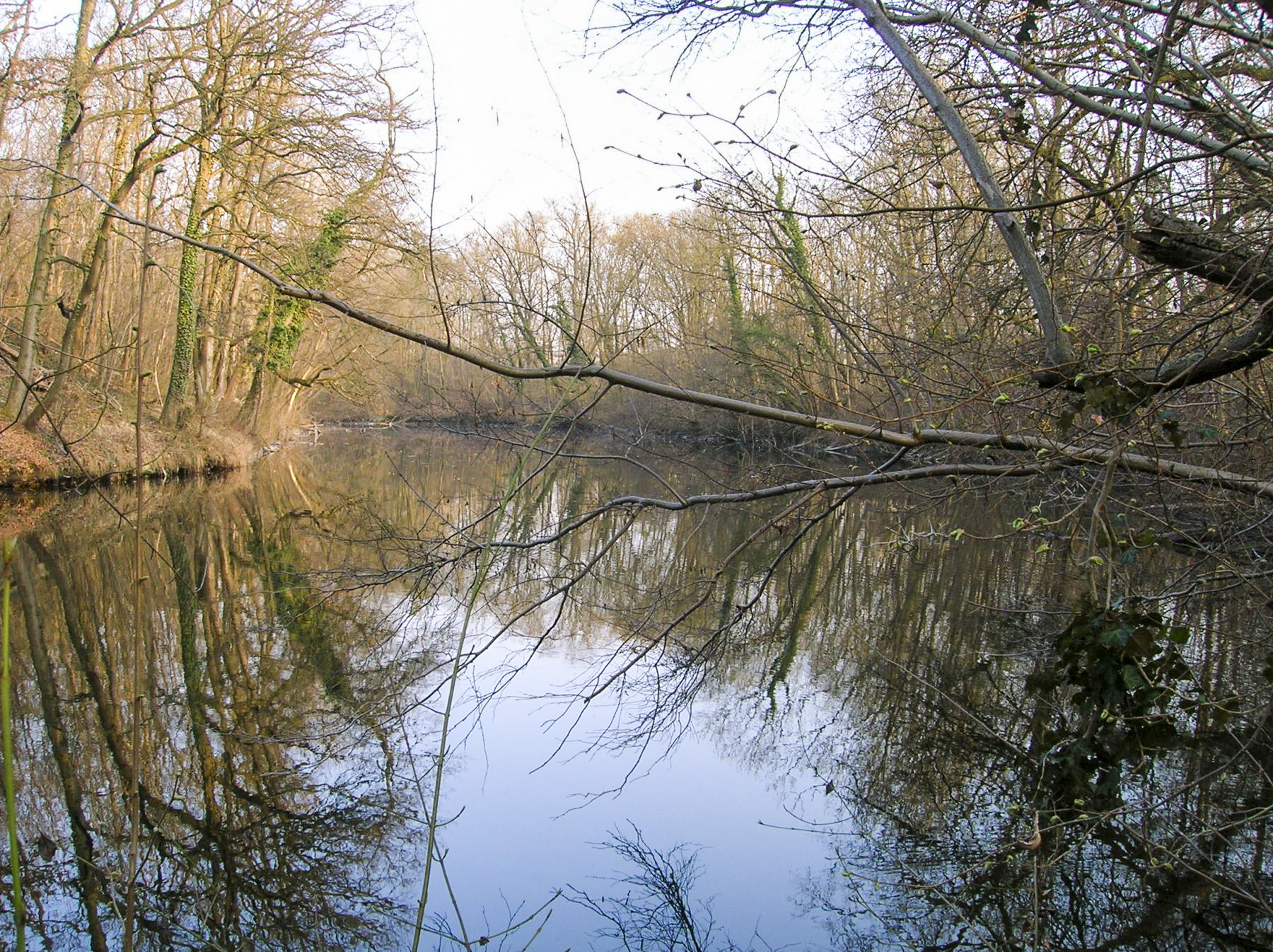 Ligne Maginot - UHRICH - HOCHE (1° BON 237° RI) - (PC de Sous-Quartier) - Fossé en eau du front de tête - Grégory Fuchs