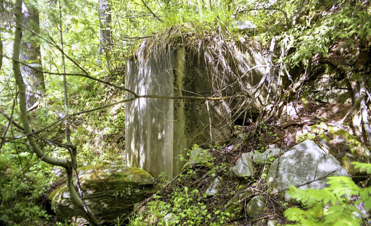 Ligne Maginot - ORGERE - (Abri) - Entrée nord de l'abri - HEMMERT Valentin
