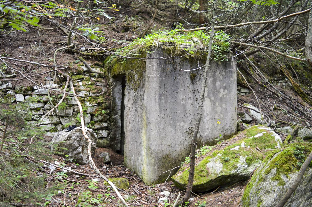 Ligne Maginot - ORGERE - (Abri) - Entrée nord - PRASIL Michal