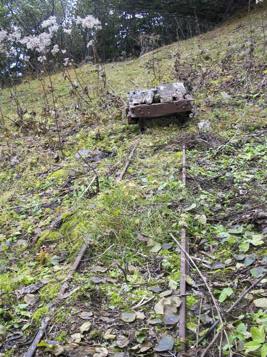 Ligne Maginot - PLAN à MARIN - (Abri) - Le chantier
Vestiges de la voie de 60 - STRECKER Jürgen