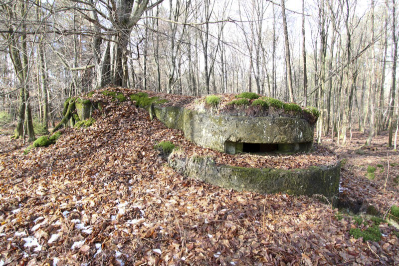 Ligne Maginot - ALLEE DU DEIESLACH 1 - (Blockhaus pour arme infanterie) -  - Antoine SCHOEN