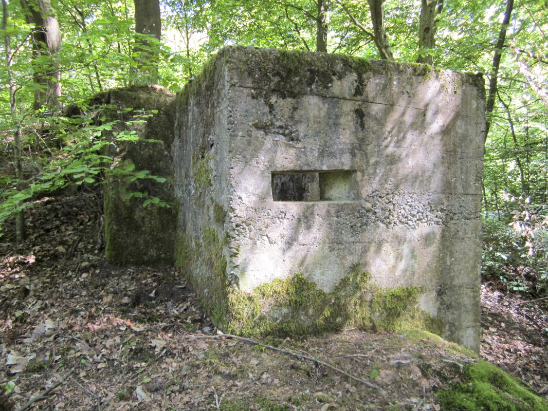 Ligne Maginot - ALLEE DU DEIESLACH 2 - (Blockhaus pour arme infanterie) - Créneau dans l'accès bétonné - gregfuchs