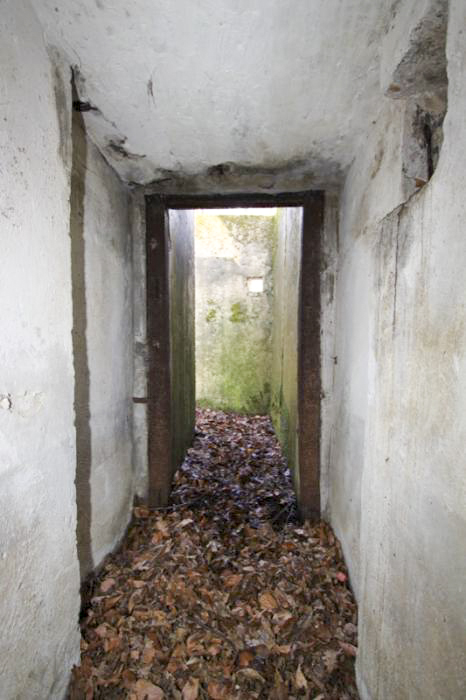 Ligne Maginot - ALLEE DU DEIESLACH 1 - (Blockhaus pour arme infanterie) -  - Antoine SCHOEN