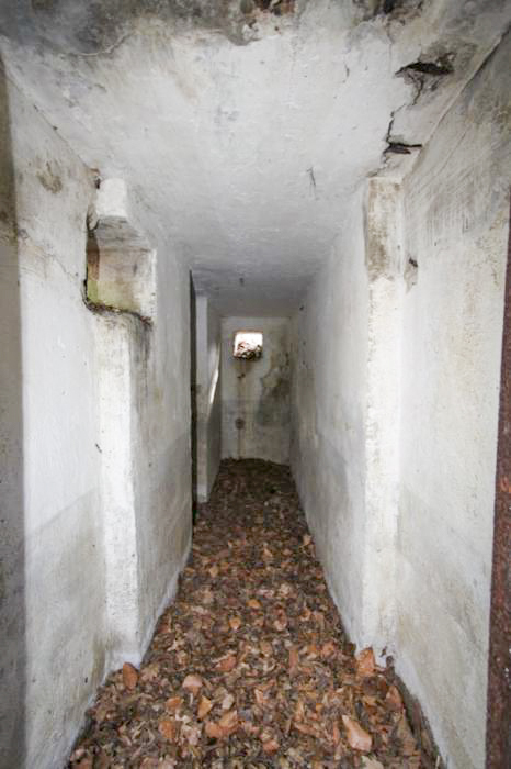 Ligne Maginot - ALLEE DU DEIESLACH 1 - (Blockhaus pour arme infanterie) -  - Antoine SCHOEN