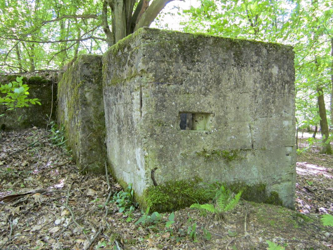Ligne Maginot - ALLEE DU DEIESLACH 1 - (Blockhaus pour arme infanterie) - Créneau dans l'accès bétonné - gregfuchs