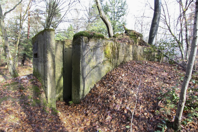 Ligne Maginot - ALLEE DU DEIESLACH 2 - (Blockhaus pour arme infanterie) -  - Antoine SCHOEN