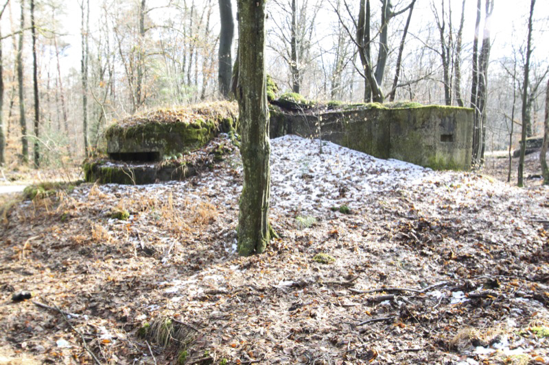 Ligne Maginot - ALLEE DU DEIESLACH 2 - (Blockhaus pour arme infanterie) -  - Antoine SCHOEN