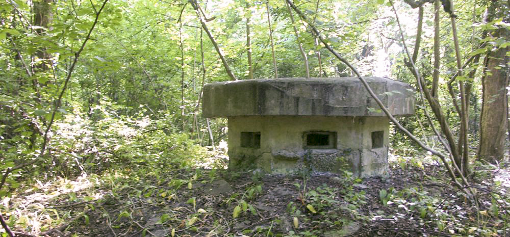 Ligne Maginot - 57 - STEINGIESSEN - (Blockhaus pour arme infanterie) -  - Pascal LAMBERT