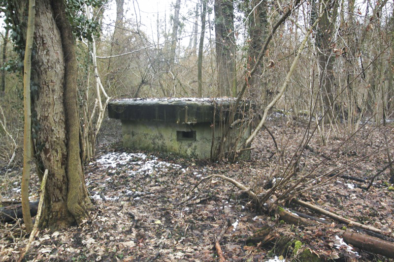Ligne Maginot - 57 - STEINGIESSEN - (Blockhaus pour arme infanterie) - Vue générale - Les Gardiens du Rhin