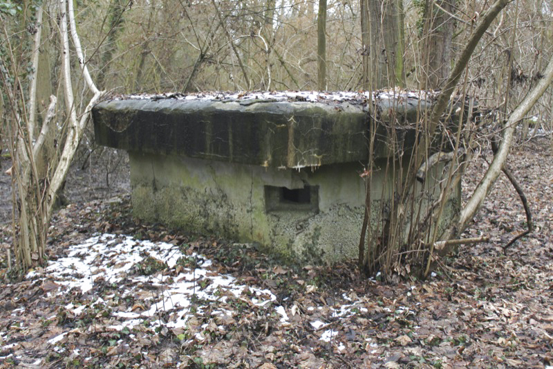 Ligne Maginot - 57 - STEINGIESSEN - (Blockhaus pour arme infanterie) - Vue générale - Les Gardiens du Rhin
