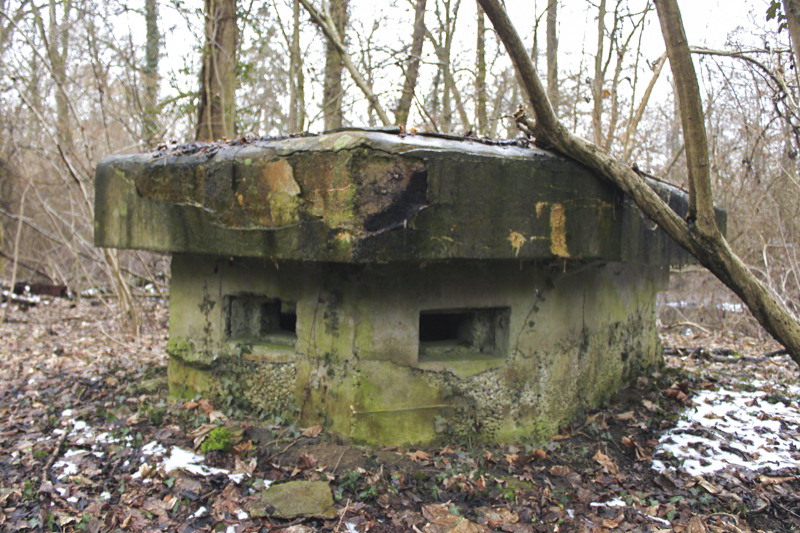 Ligne Maginot - 57 - STEINGIESSEN - (Blockhaus pour arme infanterie) - Vue générale - Les Gardiens du Rhin