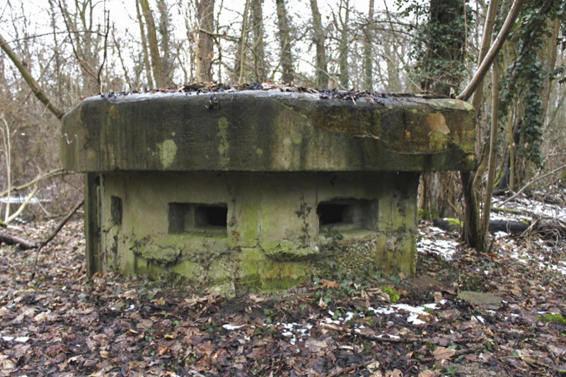 Ligne Maginot - 57 - STEINGIESSEN - (Blockhaus pour arme infanterie) - Vue générale - Les Gardiens du Rhin