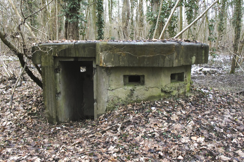 Ligne Maginot - 57 - STEINGIESSEN - (Blockhaus pour arme infanterie) - Vue générale - Les Gardiens du Rhin