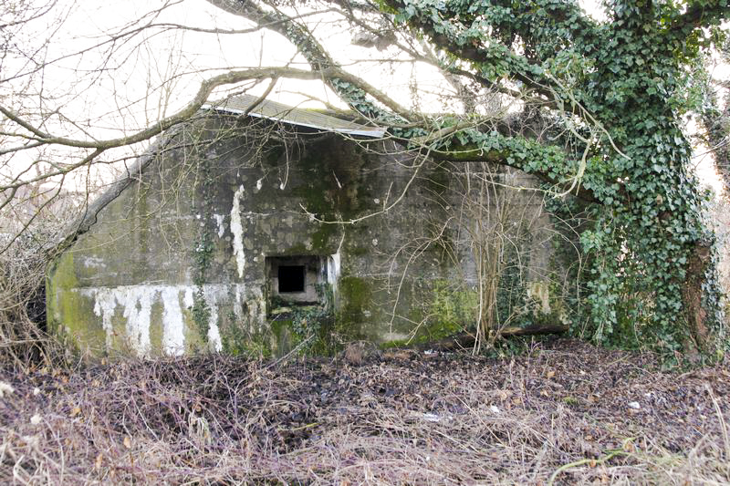 Ligne Maginot - BAHLIEN - (Abri) - Créneau de défense - GRUBER Franck