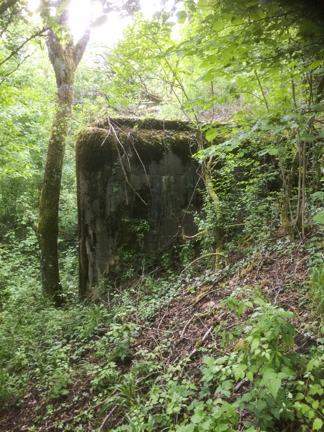 Ligne Maginot - BELLEVUE - (Central téléphonique d'observation) -  - djdada