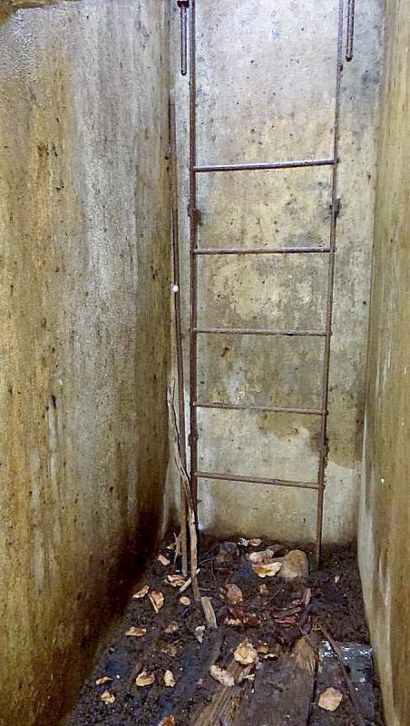 Ligne Maginot - 75T - (Chambre de coupure) - Échelle d'accès - Sylvie Laure LAMBERT