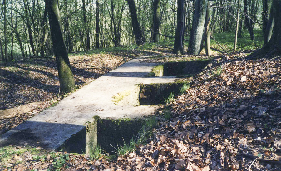 Ligne Maginot - Observatoire de la Cote Saint Michel. -  - Pascal LAMBERT