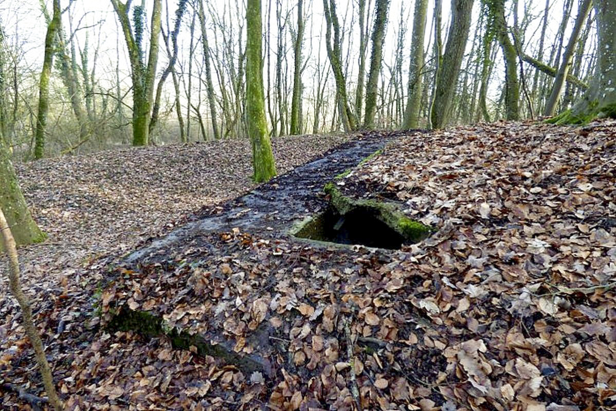 Ligne Maginot - O52 - SAINT MICHEL - (Observatoire d'artillerie) -  - Sylvie Laure LAMBERT
