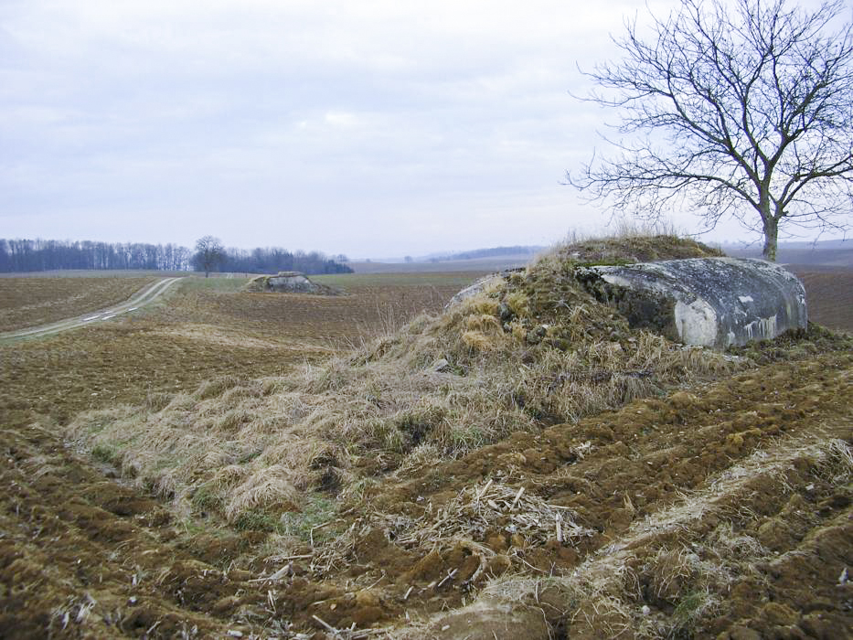 Ligne Maginot - EICHELBERG SUD - RAVIN MICONNET - (Blockhaus pour canon) - Les deux blockhaus Eichelberg sud et nord - ALMO
