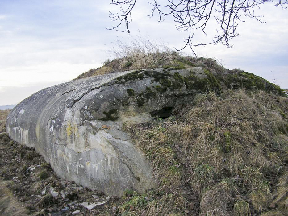 Ligne Maginot - EICHELBERG SUD - RAVIN MICONNET - (Blockhaus pour canon) - Le créneau de tir remblayé - ALMO