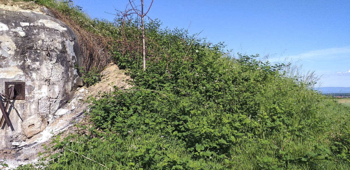 Ligne Maginot - OBERROEDERN NORD - (Casemate d'infanterie - Double) - Façade de la chambre de tir sud-est remblayée - Gregory Fuchs