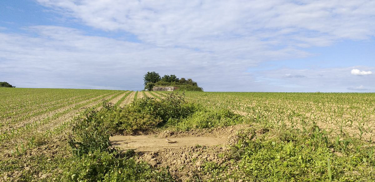 Ligne Maginot - OBERROEDERN NORD - (Casemate d'infanterie - Double) - Regard de visite de l'égout - Gregory Fuchs