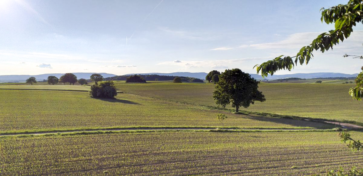 Ligne Maginot - OBERROEDERN NORD - (Casemate d'infanterie - Double) - Vue depuis la cloche GFM nord-ouest (vers bloc Kerneis et casemates d'Aschbach) - Gregory Fuchs