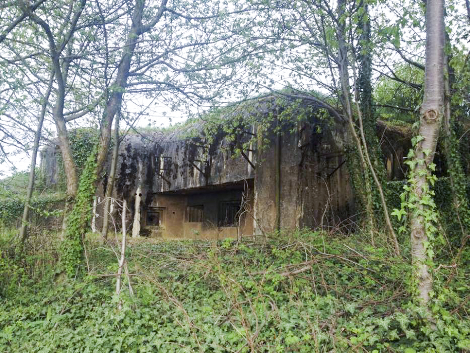 Ligne Maginot - BOIS de HOFFEN Ouest ( Casemate d'infanterie ) -  - EVA Philippe