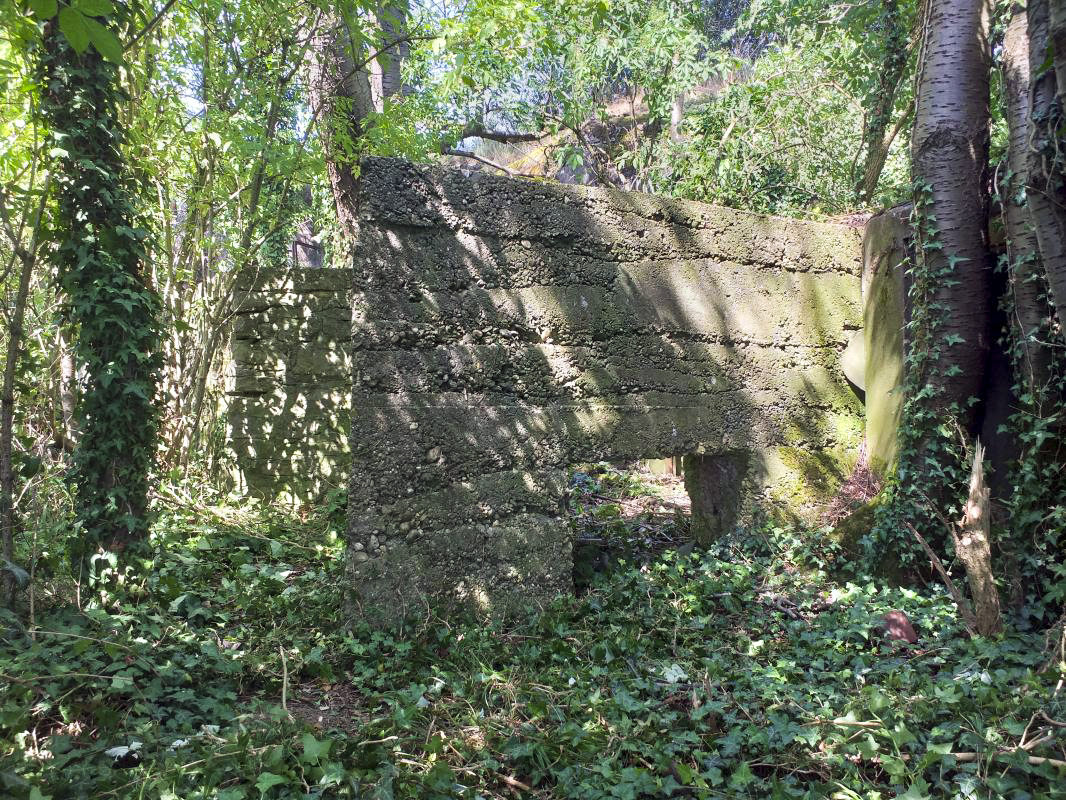 Ligne Maginot - BOIS DE HOFFEN OUEST - (Casemate d'infanterie) - Mur de soutènement bétonné devant les niches de stockage extérieurs - Gregory Fuchs