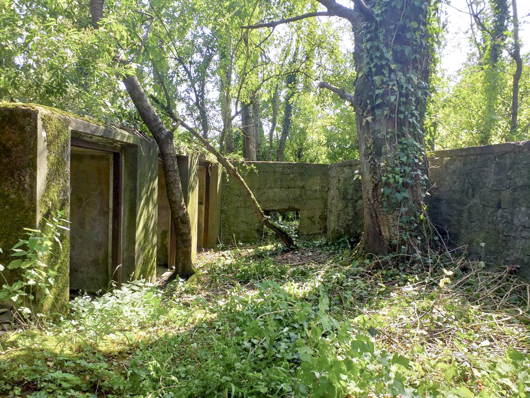 Ligne Maginot - BOIS DE HOFFEN OUEST - (Casemate d'infanterie) - Mur de soutènement devant les niches de stockage extérieurs - Gregory Fuchs