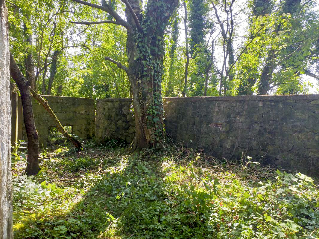 Ligne Maginot - BOIS DE HOFFEN OUEST - (Casemate d'infanterie) - Mur de soutènement devant les niches de stockage extérieurs - Gregory Fuchs