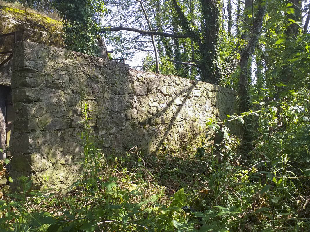 Ligne Maginot - BOIS DE HOFFEN OUEST - (Casemate d'infanterie) - Mur de soutènement devant l'entrée - Gregory Fuchs