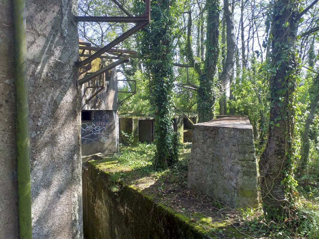 Ligne Maginot - BOIS DE HOFFEN OUEST - (Casemate d'infanterie) - Mur de soutènement devant l'entrée - Gregory Fuchs