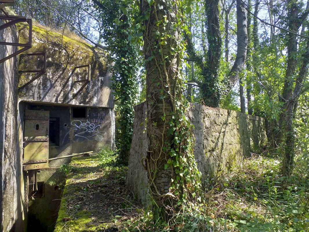 Ligne Maginot - BOIS DE HOFFEN OUEST - (Casemate d'infanterie) - Mur de soutènement devant l'entrée - Gregory Fuchs